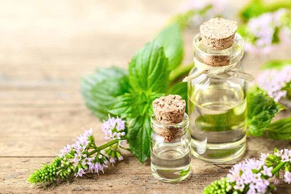 Tinh Dầu Bạc Hà Có Tác Dụng Gì Trong Chăm Sóc Da?