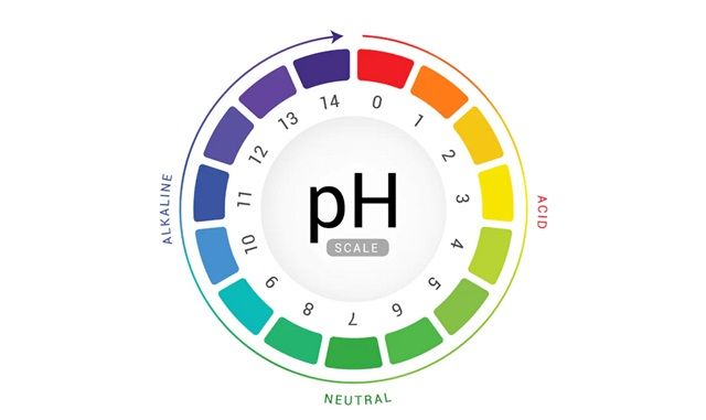Độ pH Của Da Có Ảnh Hưởng Như Thế Nào Đến Hiệu Quả Chăm Sóc Da?