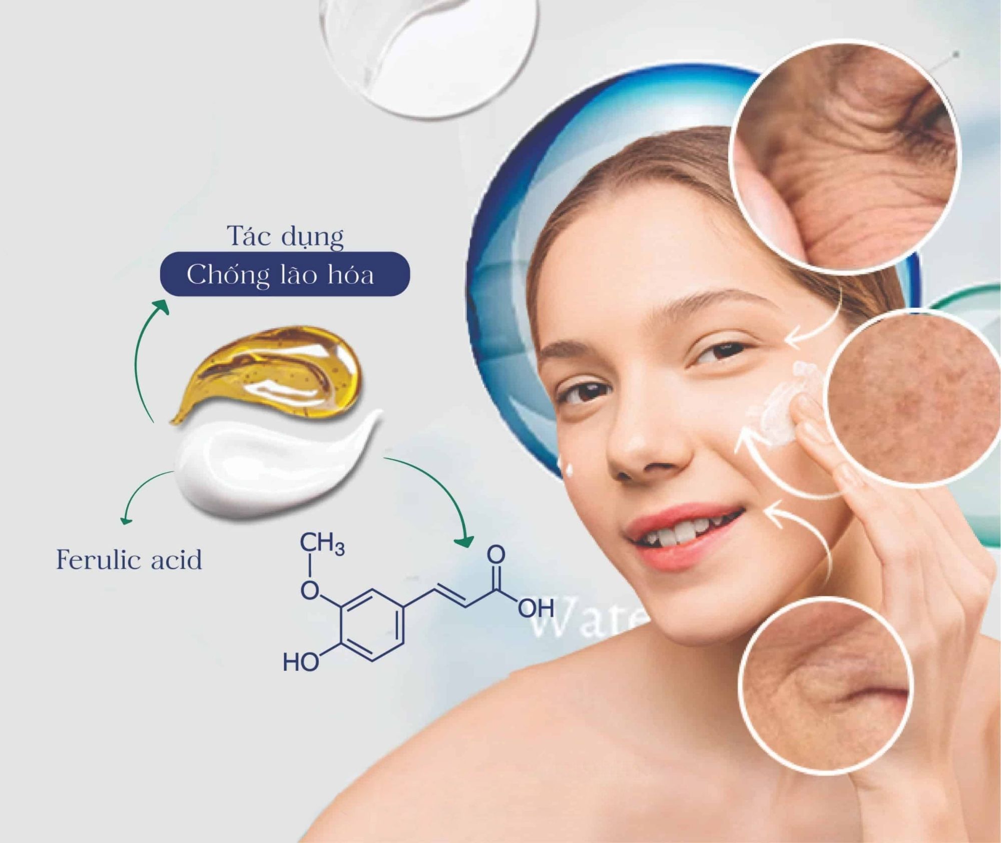 tac dung cua Axit ferulic