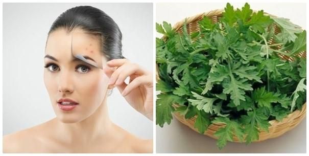 tac dung cua ngai la kim voi da