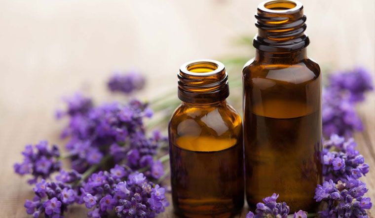 tinh dau hoa oai huong2