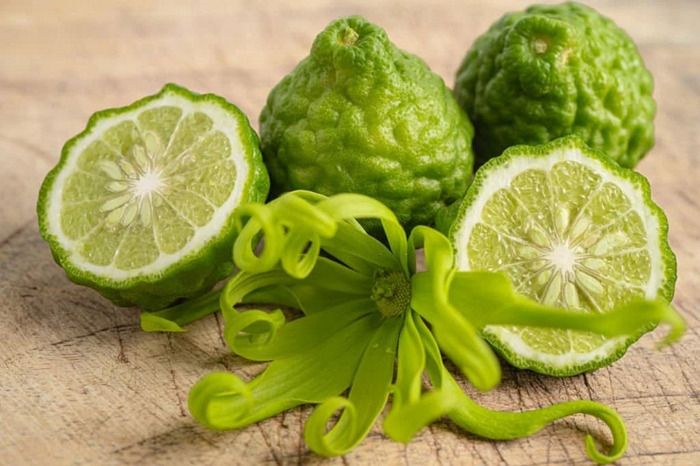 tinh dau cam bergamot 
