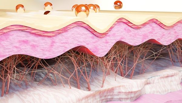 Vai trò của elastin trong da