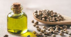 Dầu hạt gai dầu có tác dụng gì cho da?