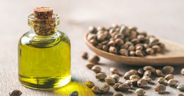 Dầu hạt gai dầu có tác dụng gì cho da?