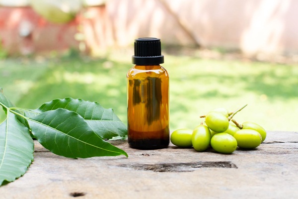 Khám phá các lợi ích của dầu neem đối với làn da