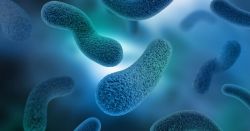 Các loại vi khuẩn gây mụn khác nhau gây các bệnh khác nhau