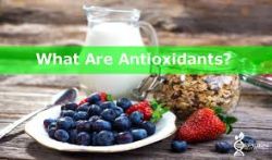 Chất chống oxy hóa là gì- Dr Bauman
