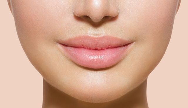 Môi gồm có những phần nào?