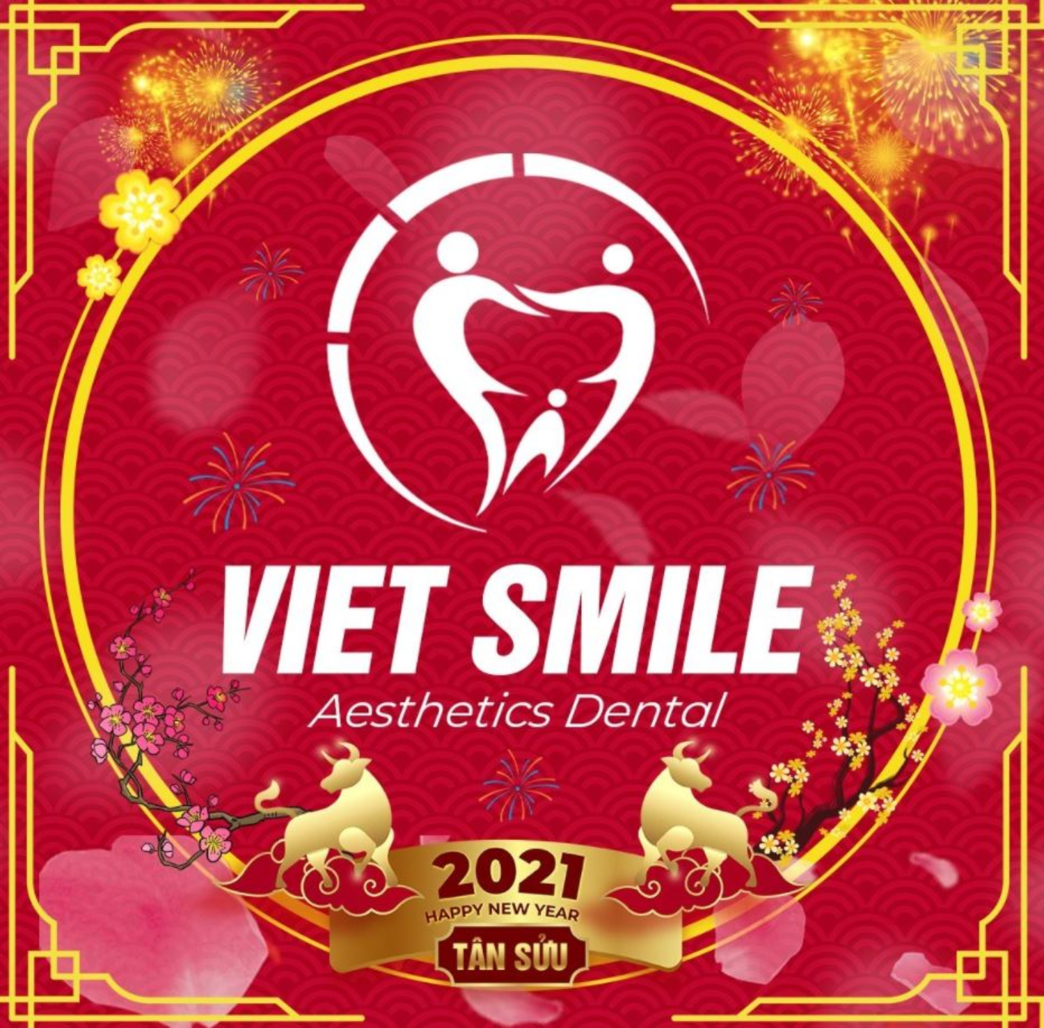 Bs nha khoa Việt Smile