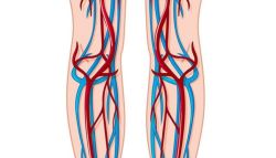 Phân biệt tĩnh mạch nông và tĩnh mạch sâu