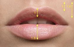 Tỷ lệ vàng trong tiêm filler môi