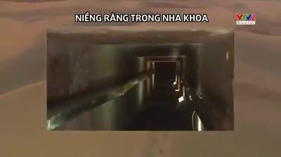 GIẢI MÃ NIỀNG RĂNG TRỰC TIẾP TRÊN SÓNG TRUYỀN HÌNH VTV