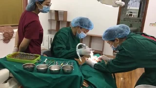 cấy ghép chân răng nhân tạo cho cô Chung. Bác sĩ thực hiện: Dr. Hoàng Minh Huy.