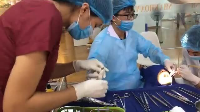 Mỗi ngày 1 ca trồng răng