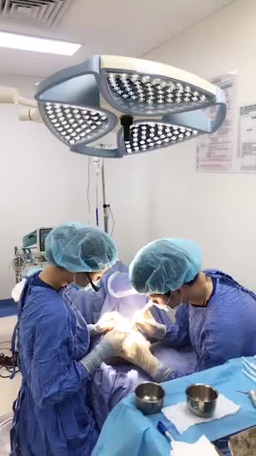 Bạn băn khoăn lo lắng vì bị hói đầu Bệnh viện Đông Á sẽ giúp bạn có lại được mái tóc bồng bềnh