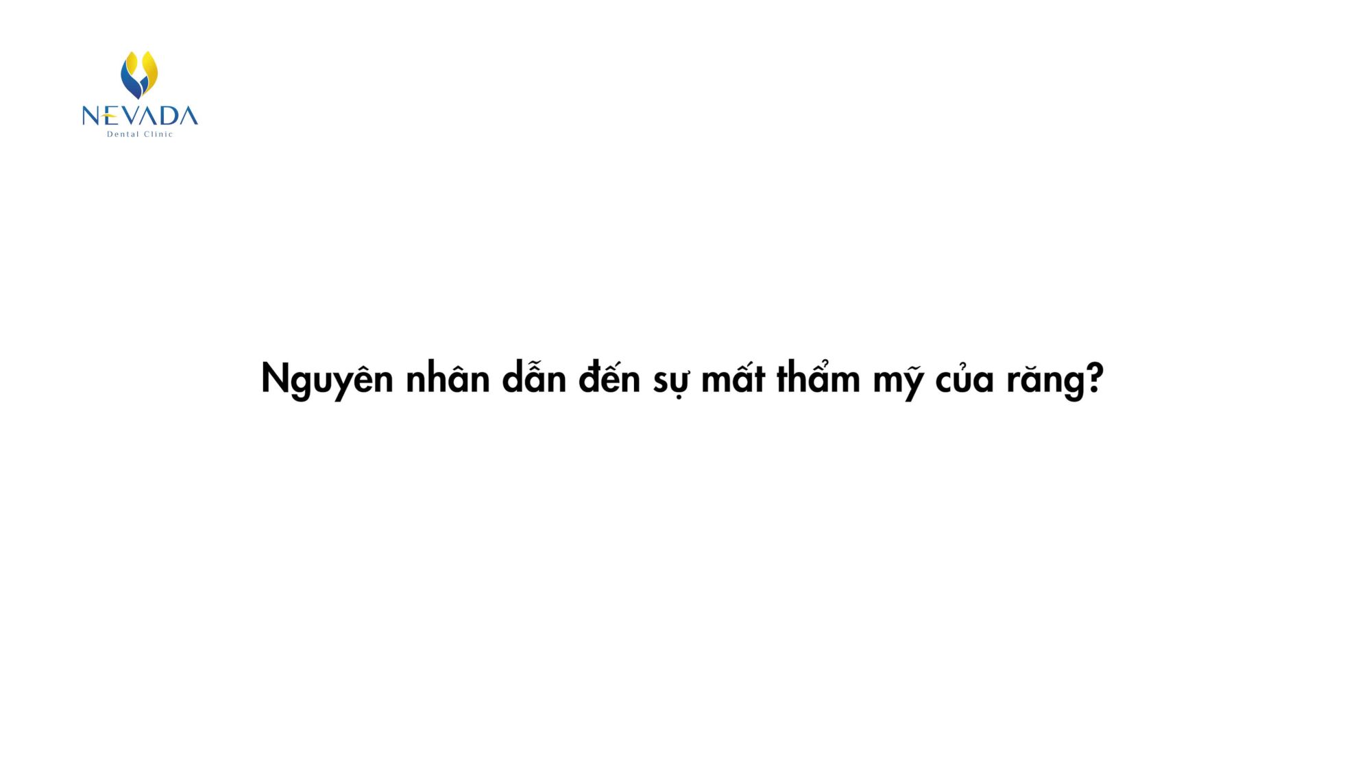 HÀNH TRÌNH TÌM LẠI NỤ CƯỜI NHƯ Ý CỦA VỊ KH NEVADA