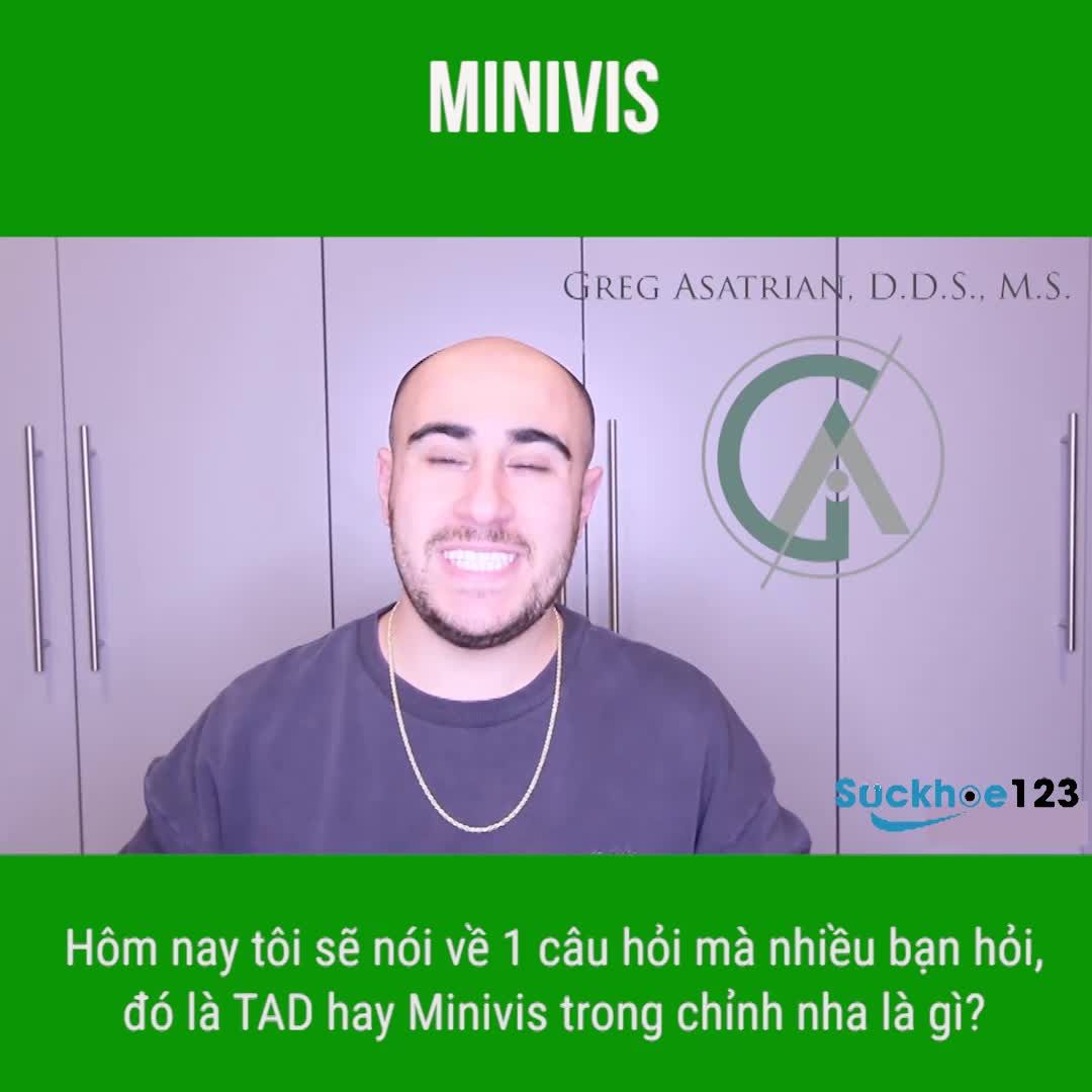 Minivis