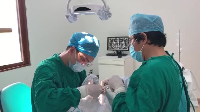 CẤY GHÉP IMPLANT TẠI NHA KHOA SENTOSA