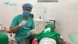 NHỔ RĂNG KHÔN CỰC KHÓ KẾT HỢP QUAY LY TÂM MÁU LẤY TẾ BÀO GỐC