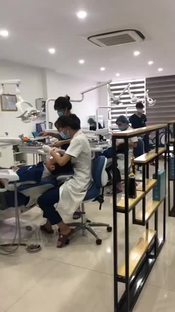 CẬN CẢNH CA GẮN MẮC CÀI TRONG ĐỘ TUỔI VÀNG CHỈNH NHA
