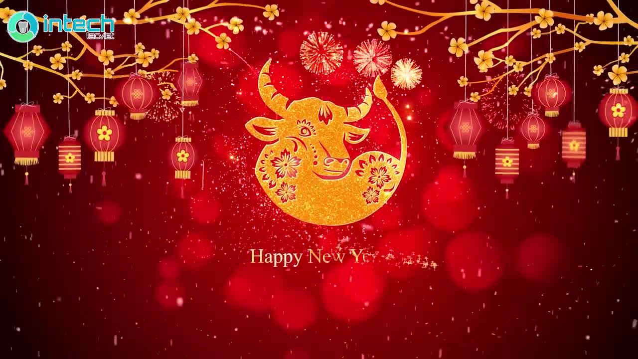 Cô Tâm vừa thực hiện xong cấy ghép toàn 2 hàm implant và đang trong thời gian chờ đợi xương tích hợp.