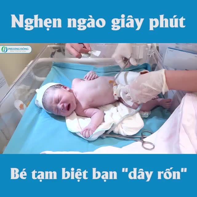 Một chiếc video nhỏ xinh Ghi lại khoảnh khắc tình ơi là tình Dây rốn là bạn của mình
