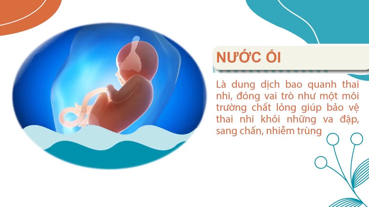 Truyền ối là gì Bạn đã hiểu về kỹ thuật can thiệp cứu sống thai nhi bị thiểu ối?