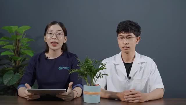 BẠN HỎI BÁC SĨ TRẢ LỜI] TẠI SAO MẤT TỚI 3 THÁNG ĐỂ TRỤ IMPLANT TÍCH HỢP