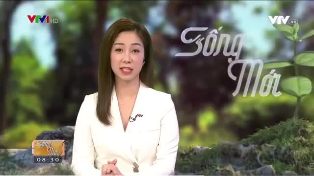 Trồng răng Implant bằng công nghệ Safe-Tech lên sóng VTV1