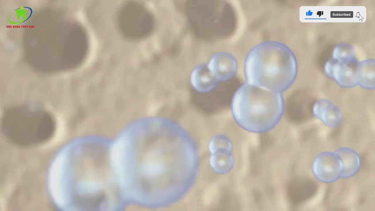 TẨY TRẮNG RĂNG - TĂNG PHẦN RẠNG RỠ