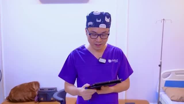 Bác sĩ Hải Lê nói gì sau ca chỉnh hình mí lỗi hỏng nặng tại cơ sở không uy tín