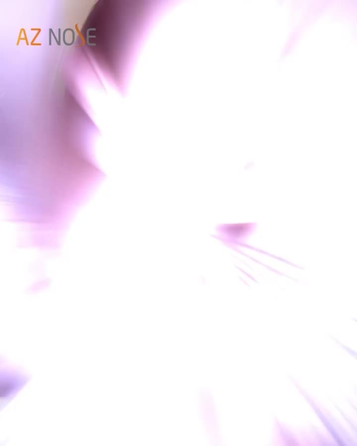 Từ miền Tây đến Sài Gòn: Đi xa một chút mà có mũi xinh thì xứng đáng lắm!