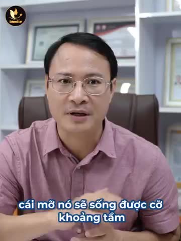 CẤY MỠ HÕM MÔNG CÓ BỊ TIÊU ĐI KHÔNG?