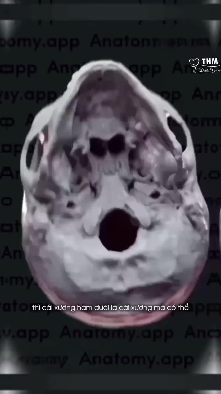 CẰM BỊ NHÔ, NỖI LO LẮNG ĐAU ĐÁU TRONG LÒNG NHIỀU NGƯỜI