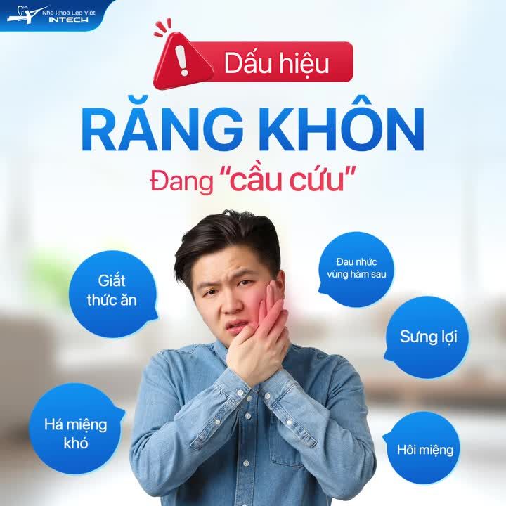 HÈ NÀY, ĐẾN LẠC VIỆT INTECH "CHIA TAY" RĂNG KHÔN CỨNG ĐẦU