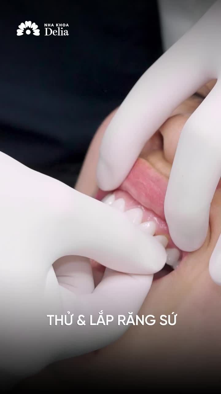 Từ Mỹ bay về Việt Nam tháo bỏ sứ cũ: Kiều bào kiên quyết chọn Delia và cái kết. Xem ngay!
