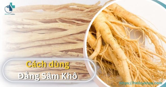 Cách dùng đẳng sâm khô đơn giản và tốt cho sức khỏe