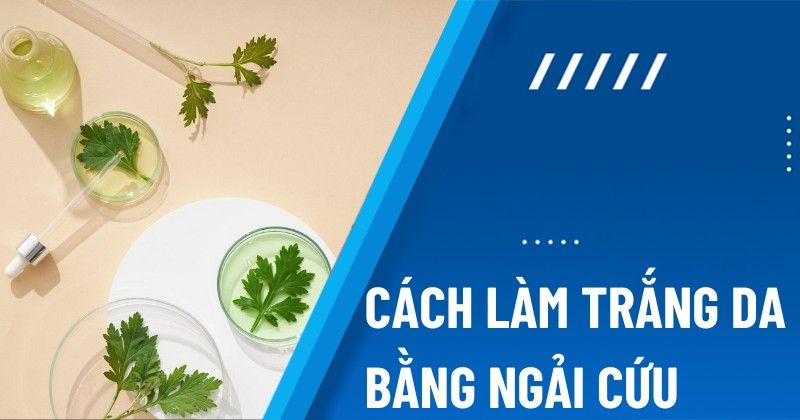 6 cách làm trắng da bằng ngải cứu hiệu quả giảm kích ứng cho da