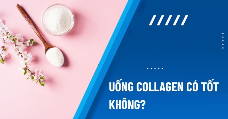 Uống collagen có tốt không? Dùng nhiều mỗi ngày có hại gì?