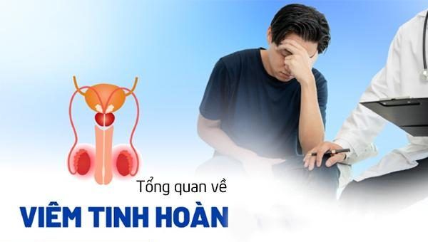 Tổng quan về bệnh viêm tinh hoàn ở nam giới - Phòng Khám Đa Khoa Tâm Đức Đắk Lắk