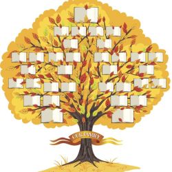 Xem xét sơ đồ phả hệ trước khi cố gắng thụ thai