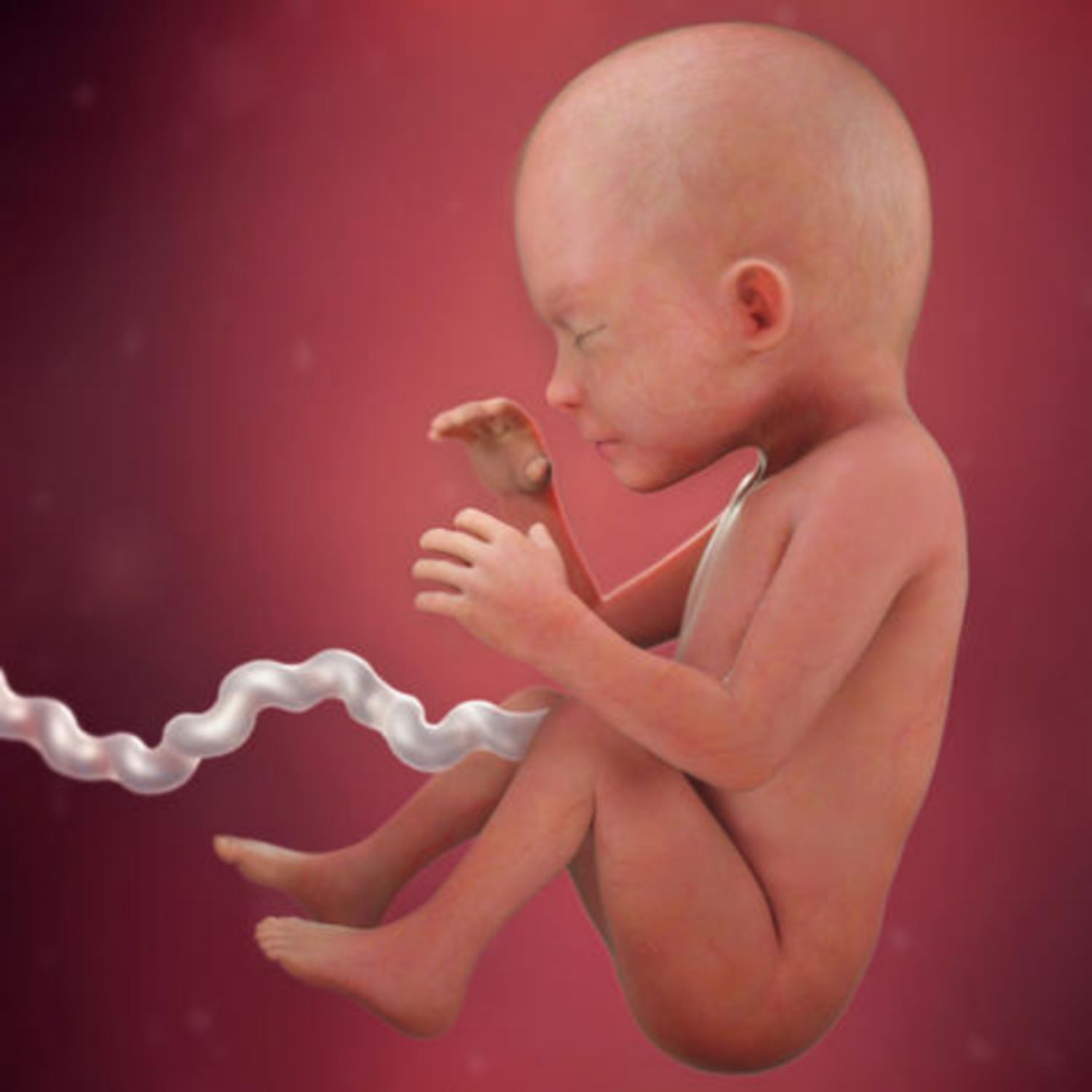 Thai nhi 23 tuần tuổi