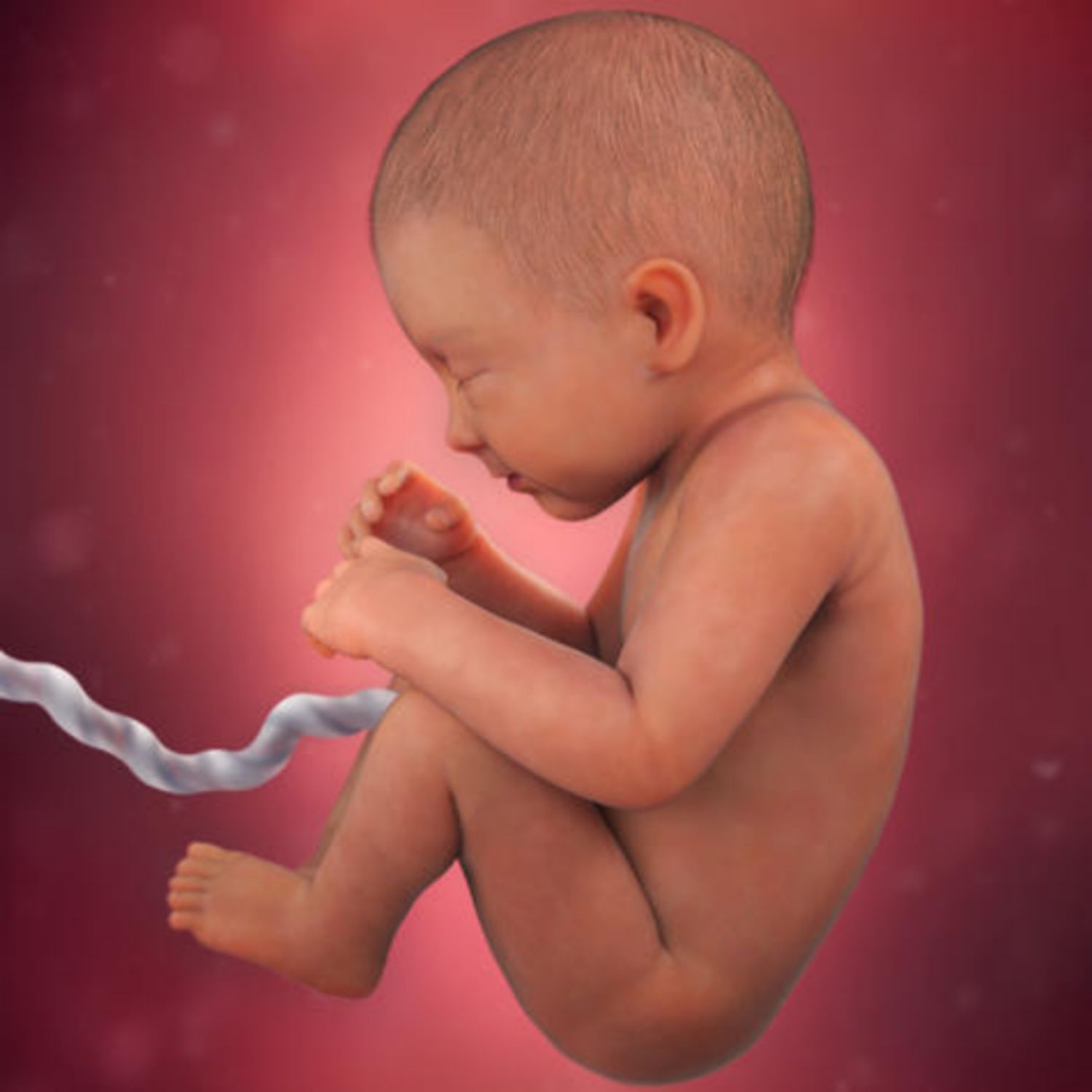 Thai nhi 34 tuần tuổi