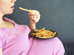 Chất béo từ chế độ ăn uống khi mang thai