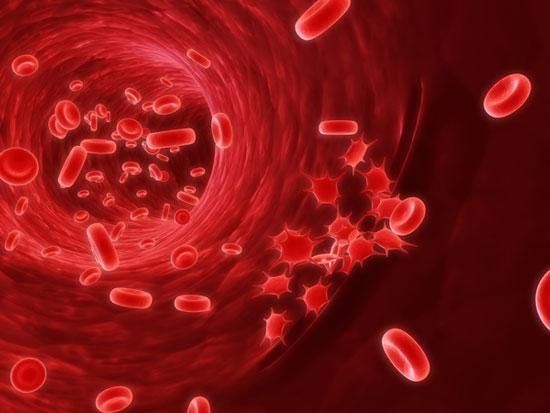Những điều cần biết về hội chứng thực bào máu ở trẻ
