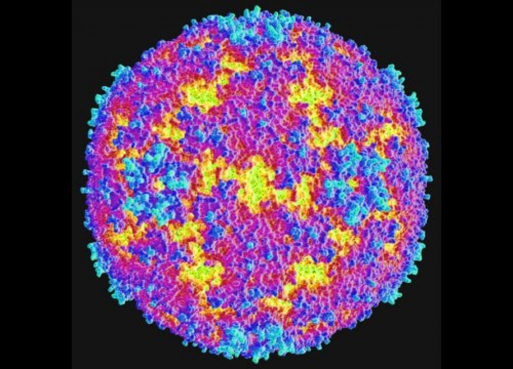 Tìm hiểu về EV71 - Tác nhân gây viêm não, tay chân miệng