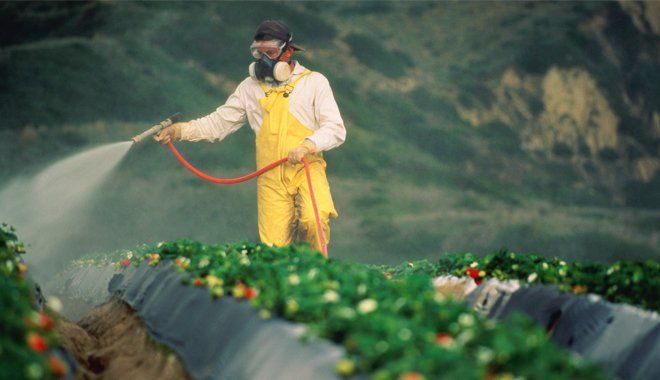 Bảo vệ trẻ khỏi các hóa chất độc hại