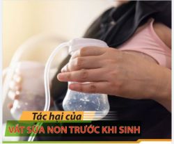 Tác hại của vắt sữa non trước khi sinh