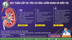 Suy thận cấp do tiêu cơ vân: Chẩn đoán và điều trị - Bệnh viện Việt Đức